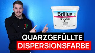 Die BESTE Quarzgefüllte Dispersionsfarbe  Creativ Granulato 71 weiß matt [upl. by Ahseile]