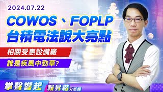 【掌聲響起】賴昇楷 0722 台積電718法說大亮點【CoWoS、FOPLP】，台股回檔過程中，哪些受惠設備廠是疾風中的勁草 [upl. by Arba]