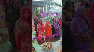 Marabo re sugava Dhanush se  chhath Puja special song [upl. by Aztiray]