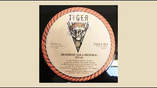 Stevo  Skhokho Ga Linchiwa 1993 Full Album [upl. by Nilad5]