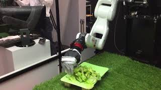 Demonstration of Multimodal AI Robot by Denso at iRex 17 RAW VIDEO [upl. by Nolahs]