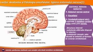 ANATOMIA ȘI FIZIOLOGIA ENCEFALULUI IGIENA SISTEMULUI NERVOS I [upl. by Lletniuq876]