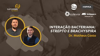 Dr Matheus Costa Interação Bacteriana em Suínos  Ep 171 [upl. by Elmo627]