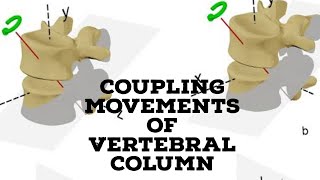 Coupling movement of vertebral column [upl. by Ynffit825]