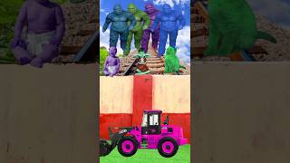 4 different color monster babies cat tractor save funny vfx video [upl. by Marguerite]