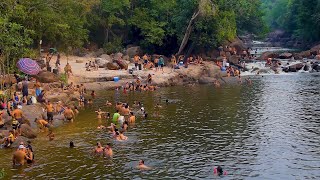 Paraisópolis Rio das Garças em Porto Velho Rondônia [upl. by Langille]