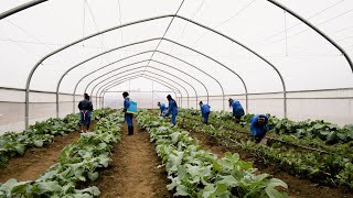 Farming for the future Shoprite transforms agricultural learning for students [upl. by Notsuh]