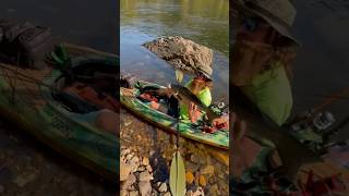 Hybrid at the spillway kayakfishing spillwayfishing hybrid wiper sKlee [upl. by Analed773]