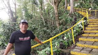 Tour at Bucari Pine Forest  quotThe Little Baguio of Iloiloquot Leon Iloilo Philippines 🇵🇭 [upl. by Noissap]