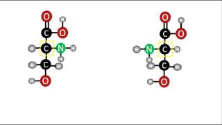 Bioquímica  Enantiómeros D y L de los aminoácidos [upl. by Chak348]