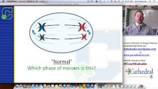 Karyotyping amp Genetic Disorders [upl. by Hilbert771]