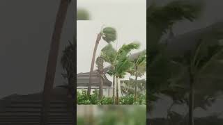 Palm Beach Gardens Tornado [upl. by Enailil]