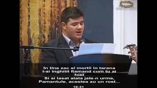 Marius Costea  Ne vom întoarce întro zi acasă [upl. by Ramled346]