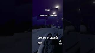 Prince Raheem  Sturdy In Jersey SLOWED [upl. by Steffi]