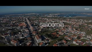 Apresentação Salicornia Villas  REMAX UNIVERSAL [upl. by Oirad]