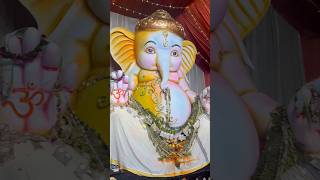 Ramnagar bala ganesh♥️chala cute unadu😍 love viralvideo anjithkavya trendingshorts minivlog [upl. by Aihsilef]