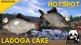 TROPHY Gibel INSANITY Ladoga Lake Russian fishing 4 [upl. by Gretal]