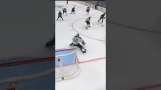 Jordan Binnington Absolute Robbery 😮 shorts hockey nhl [upl. by Yorke]