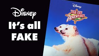 Disneys Biggest Lie [upl. by Mauralia]