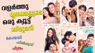 Adoring 2019 Movie Explained in Malayalam  Part 1  Movie explained  Cinema Katha [upl. by Nahtaneoj]