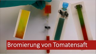 Bromierung von Tomatensaft 5 Gym [upl. by Naejamron]