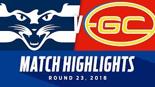 Geelong v Gold Coast Highlights  Round 23 2018  AFL [upl. by Yelsnya237]