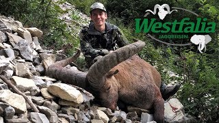 Jagd auf Dagestan Tur 2019 mit Westfalia Jagdreisen [upl. by Nednerb]