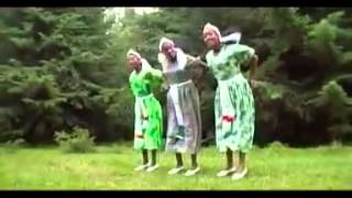 Dereje Jalata  Guraamalee Oromo Music [upl. by Hanforrd36]