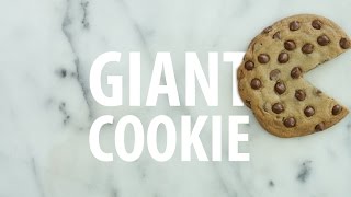 Giant Chocolate Chip Cookie Recipe [upl. by Eimarrej]