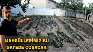 MAHSULLERİMİZ BU SAYEDE COŞACAK  BAHÇEDEMİZDE Kİ İLK HASATI YAPTIK [upl. by Eelta484]