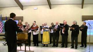 Harlig ar jorden  Swedish Choir – Beautiful Savior [upl. by Ateikan770]