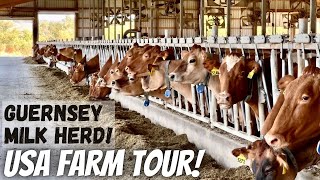 Touring Hoards Dairyman Farm [upl. by Amalbena]