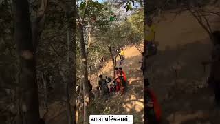 પરિક્રમા ની મોજ…parikrama bestmoments junagadh girnar girnarhills parikramamarg parikrama2024 [upl. by Herwin]