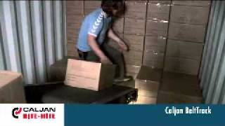 Unloading containers the easy way with a Caljan boom conveyor [upl. by Roosevelt573]