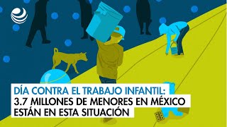 Día contra el Trabajo Infantil 37 millones de menores en México están en esta situación [upl. by Hanala]