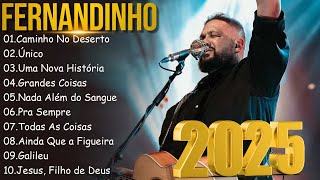 FERNANDINHO AS MAIS TOCADAS  20 MELHORES MUSICAS AS MAIS TOCADAS DE FERNANDINHO [upl. by Boland]