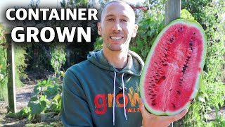 How to Grow WATERMELONS in CONTAINERS Cheap and Easy Patio Gardening [upl. by Anelav]