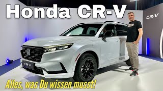 Honda CRV Besser als Toyota RAV4 Nissan XTrail und Co Hybrid und PHEV im ersten Check  Review [upl. by Kcirdet]