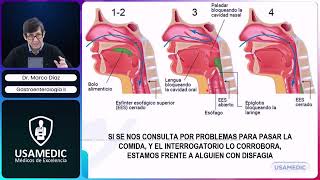 RM 2024 Gastro 12 Patología de ESÓFAGO Disfagia ERGE Esofagitis caústica acalasia [upl. by Marlen577]