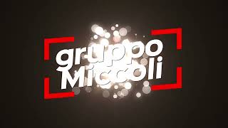 Gruppo Miccoli srl PALFINGER P480 JUMBO [upl. by Airamesor]