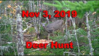 Nova Scotia Deer Hunt  Nov 3rd 2019 [upl. by Gratia]