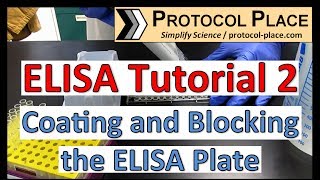 ELISA Tutorial 2 Coating and Blocking the ELISA Plate [upl. by Hertzfeld]