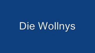 Die Wollnys  bronze silber und gold ofizieller Song [upl. by Acila174]