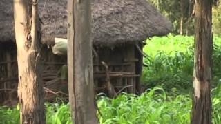 Stolen Childhood Child Brides in Ethiopia [upl. by Atteselrahc]