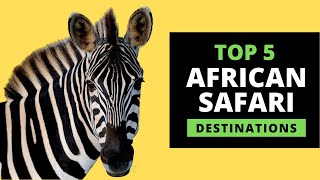 AFRICAN SAFARI DESTINATIONS  Top 5 Most Popular with prices [upl. by Yorgo73]