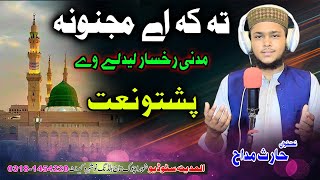 Madani Rokhsar pashto Naat by Haris Maddh  Al Madina Studio [upl. by Mal]