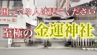 【日本一最強金運神社】見るだけで金運アップ、パワースポット、 [upl. by Suu]