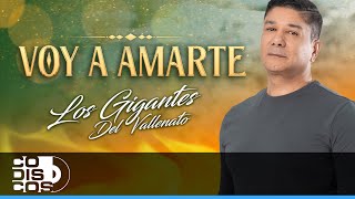 Voy A Amarte Los Gigantes del Vallenato  Video [upl. by Teloiv]