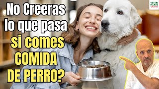 😱 ¿QUE PASA EN MI CUERPO SI COMO COMIDA DE PERRO A MENUDO 😱 [upl. by Fulcher]