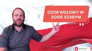 Słodko kwaśny ozór wołowy w sosie szarym odcinek9 Tradycyjna polska kuchnia recipe polish food [upl. by Ecinert109]